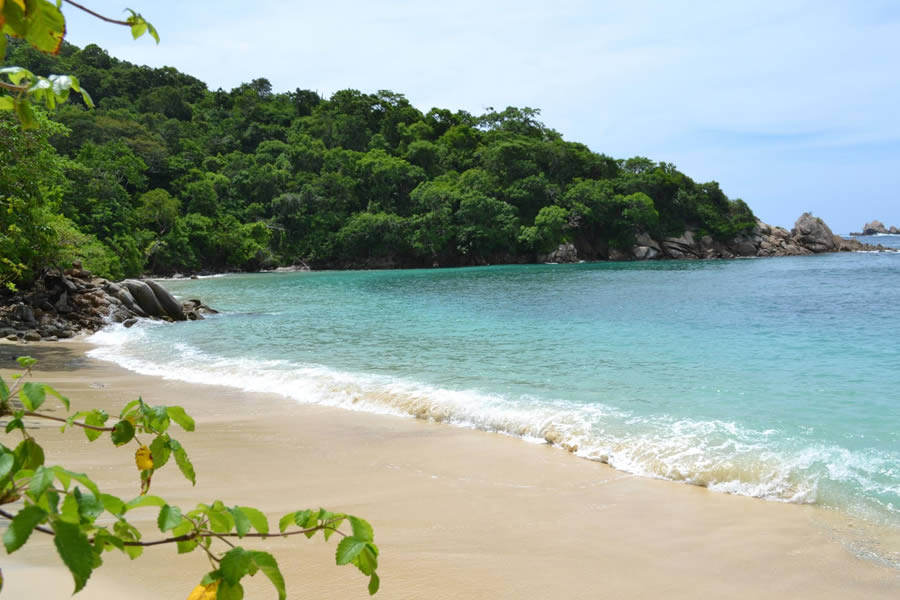 Punta Celeste del Parque Botazoo