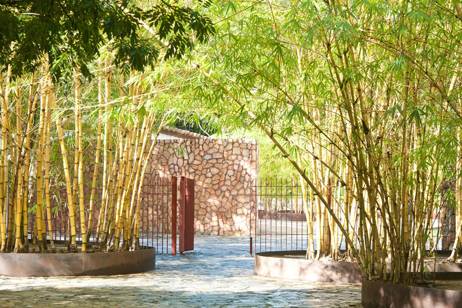 Copalita Eco-archaeological Park